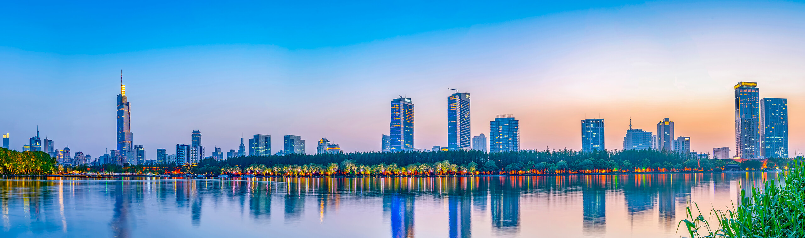 Registration of Wholly Foreign Owned Enterprises