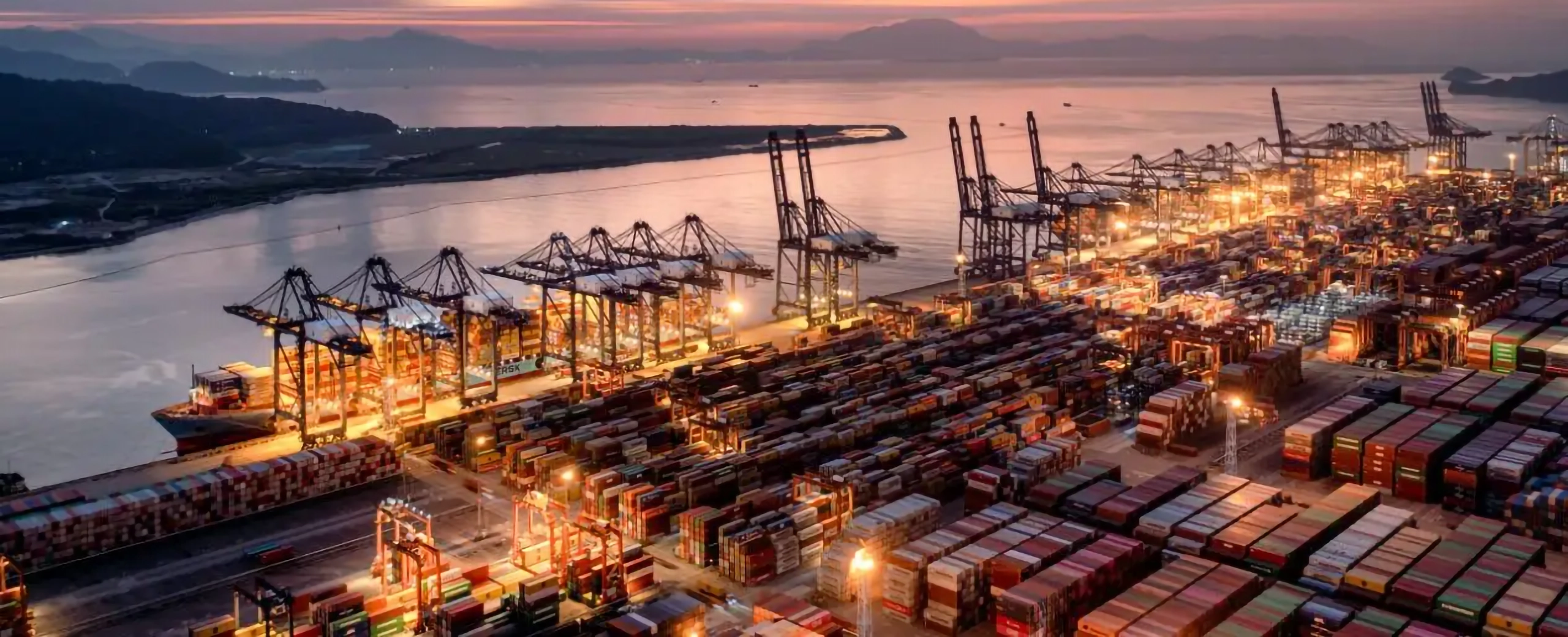 Intellectual Property Customs Filing