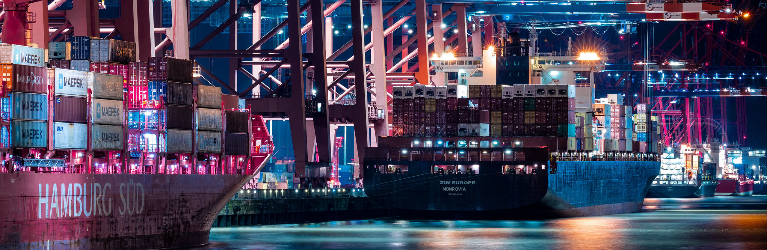 Application for Import and Export License